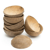 Vente en gros de petites coquilles de noix de coco pour desserts glacés, biodégradables, pour la maison, le camping, écologiques, bols jetables, design de dessin animé
