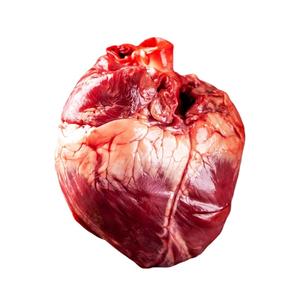 Coeurs de boeuf halal en gros - Product Image 6