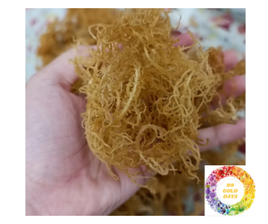 High-Quality <b>Dried</b> Seamoss from Vietnam Wildcrafted Eucheuma Cottonii Purple Yellow Best Price Export Vegan <b>Dried</b> Seamoss Bulk - Product Image 5