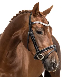 Barato al por mayor nueva tendencia estilo de moda último diseño de alta calidad caballo brida de alta calidad diseño de moda caballo - Product Image 1