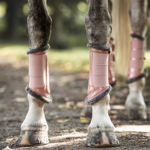 Bottes de brossage pour chevaux de qualité supérieure avec rembourrage supplémentaire pour l'absorption des chocs et la protection complète des tendons et des fetlocks - Product Image 2