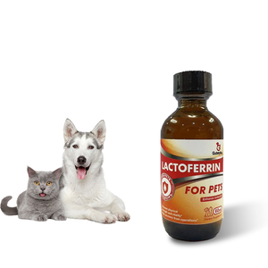 OEM ODM <span class=keywords><strong>lattoferrina</strong></span> gocce ridurre l'infiammazione per pet <span class=keywords><strong>lattoferrina</strong></span> controllo gatto starnuti prevenzione del raffreddore per cani - Product Image 1