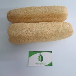 Éponge de loofah entière 100 % naturelle et écologique en gros – Gommage corporel et éponge de cuisine à base de plantes biologiques du Vietnam - Product Image 1