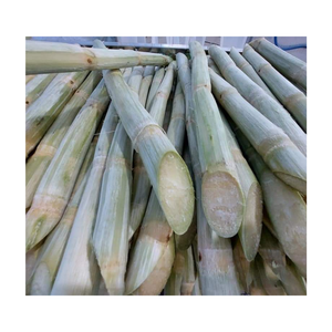 Meilleure vente avec canne à sucre congelée de haute qualité, prête à être expédiée avec une qualité supérieure pour l'exportation depuis le Vietnam 2024 - Product Image 6