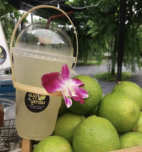 Vietnam bamboo <b>drink</b> holder featuring neat cup display and functional layout crafted for stylish service counters - Product Image 6