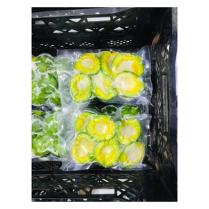 Cubos de aguacate IQF procesados bajo estándares de higiene, adecuados para comidas preparadas, batidos y empresas de catering. - Product Image 1