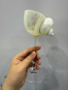 Verres à cocktail en coquillages exotiques faits à la main: vente en gros de gobelets en coquillages pour restaurants et bars sur le thème de l'océan - Product Image 6