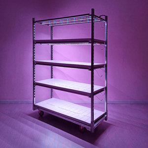 Chariot à roulettes DC avec kit d'éclairage LED pour micro-légumes - Grand cadre en acier galvanisé ABS - Product Image 1
