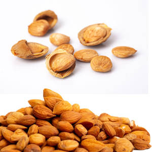 เมล็ดแอปริคอท | ถั่วธรรมชาติตากแดดสำหรับผสมชาสมุนไพร - Product Image 3