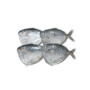 Pescado Redondo Entero Congelado IQF, Proveedor de Mariscos de Vietnam con Suministro Estable, Larga Vida Útil y Precio Directo de Fábrica al por Mayor - Product Image 1