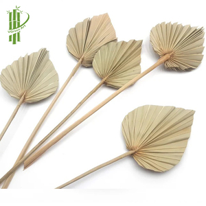 ใบปาล์มแห้งสีทองธรรมชาติ ใบไม้ประดับตกแต่งสำหรับเทศกาลอีสเตอร์ งานแต่งงาน ตกแต่งบ้าน ใช้งานภายในบ้านได้ยาวนาน - Product Image 2