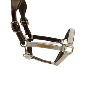 Halter de cuero anatómico con relleno súper suave y bordado Halter de cuero/Halter de caballo Producto ecuestre Caballo de brida - Product Image 3