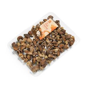 Muestra gratis superventas chino seta Morel seca fruta cuerpo tamaño 2 3CM para la venta - Product Image 2