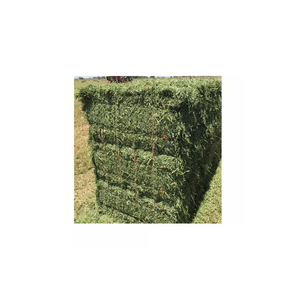 Granulés de luzerne entièrement naturels pour chevaux, sans poussière, enrichis de nutriments essentiels pour une santé et des performances animales optimales - Product Image 5