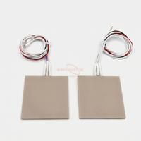 Chauffe-plateau personnalisé en AlN avec capteur thermocouple de type K intégré