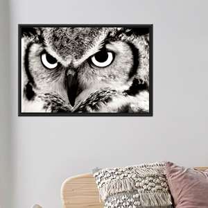 งานศิลปะบนผ้าใบพิมพ์ลายนกฮูกสุดหรูหรา - ของขวัญสัตว์เลี้ยงแบบสั่งทำพิเศษ,1P:กรอบสีดำ - Product Image 1