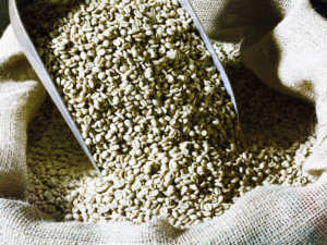 กระป๋องกาแฟบดละเอียด250ก. กลิ่นหอมเข้มข้นโรบัสต้า gverdi อิตาเลียนคัดสรรอาหารจากอิตาลี - Product Image 4