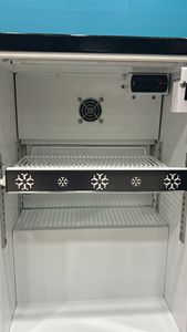 Refrigerador Comercial Vertical para Bebidas de 45 L, Puerta de Vidrio Única, Encimera, Temperatura Única, Certificado CE, Automático - Product Image 4