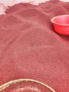 "Golden Flame Annatto Seeds Nature Vibrant Cadeau des Hautes Terres du Vietnam" - Product Image 4