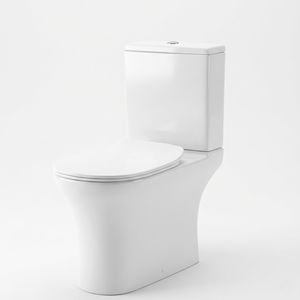 Inodoro Moderno de Cerámica de Dos Piezas Altroz, Montado en el Suelo, para Uso en Exteriores en Villas y Hoteles - Product Image 1