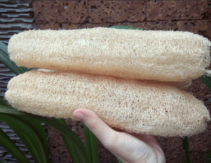 Esponja Natural de Lufa Seca Entera para Hacer Esponjas de Baño y Artículos de Limpieza, Vietnam - Product Image 3