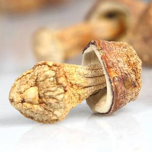 Factory Price Dried Agaricus Blazei <b>Mushroom</b> High Nutrition in Dried Agaricus Blazei <b>Mushroom</b> - Product Image 4