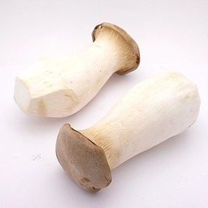Champignons blancs congelés de haute qualité frais et séchés cultivés dans des usines chinoises pour manger directement de DETAN - Product Image 4