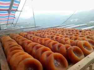 ลูกพลับอบแห้งเกรดส่งออกจากเวียดนาม - Product Image 6