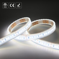 Tira de Luz LED Subterránea de Alta Resistencia IP68 de 127V para Exteriores, para Obras de Construcción, Túneles, Minería, Tira de Luz LED de Alto Voltaje