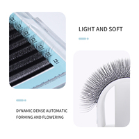 Extensions de cils synthétiques 7D en forme de W, volume pré-fait, souples, faciles à poser, courbure C/D, 0,07 mm, avec logo personnalisé pour votre marque