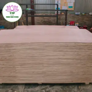 热更新硬木建筑和房地产金合欢桉树芯高品质包装胶合板越南
