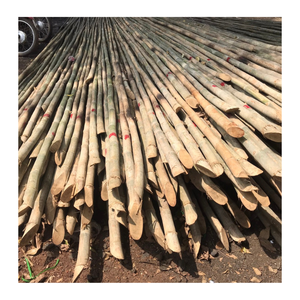 Poteaux de bambou massif naturel pour la construction-Poteau de bambou bon marché en vrac - Product Image 1