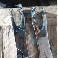 Kit de pinces dentaires équines professionnelles 4 pièces outils d'extraction de dents de cheval Instruments vétérinaires en acier inoxydable
