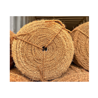 Poteau en corde de coco au design classique pour usage au sol, support naturel pour plantes et mousse coco