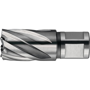 Broca NOVA de 50 Núcleos con Herramienta de Perforación Weldon FEIN de 17 mm de Diámetro Nominal - Product Image 1