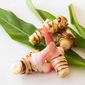 Galanga frais congelé naturel avec prix compétitif et gingembre thaïlandais de haute qualité prêt à exporter - Product Image 1