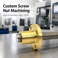Visserie sur mesure en laiton et acier inoxydable, usinage CNC, tournage, fraisage, électroérosion à fil, fixations non standard, service OEM