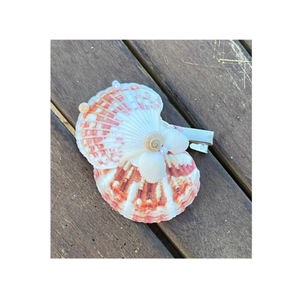 Seashells Hair <b>Clip</b> Handmade Shell Hair Ornament Perfect For Summer Outfits From Vietnam Manufacturer - Product Image 5