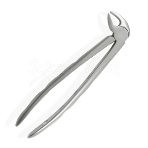 Forceps d'extraction dentaire en acier inoxydable, conçu pour une prise en main sécurisée des dents et une chirurgie buccale professionnelle - Product Image 3