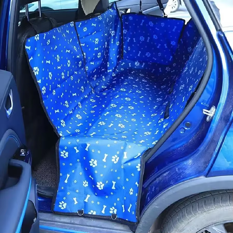 อุ้งเท้ากระดูกสีน้ำเงิน