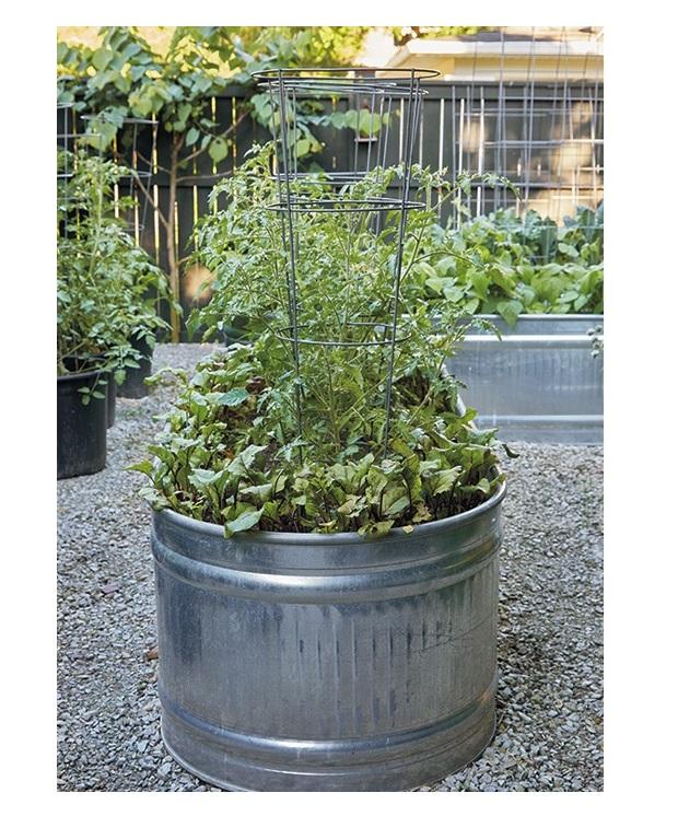 ชุบสังกะสี