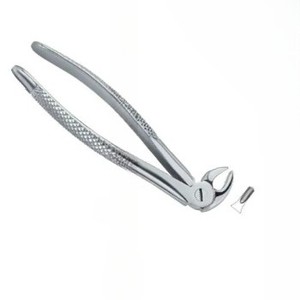 คีมถอนฟัน Fig.13 S สแตนเลสเครื่องมือทันตกรรม - Product Image 4