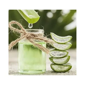 Wholesale Bulk Organic Aloe Vera and Cucumber Facial Cream Pure Natural Moisturizing and Whitening Skin Care Manufacturer