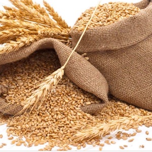 Harina de Trigo Integral Cruda a Granel, Compra al por Mayor, en Existencia, Entrega Rápida para Todas las Necesidades de Cocina - Product Image 3