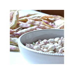 Frijoles de arándano de la mejor calidad del proveedor al por mayor a la venta a precio barato Frijoles de arándano de la mejor calidad a la venta a precio barato - Product Image 6