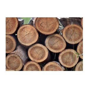 Bûches rondes en bois d'eucalyptus, commandes personnalisées - Product Image 1