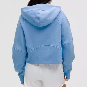 Alta calidad 100% algodón 350 GSM cuello redondo Color sólido media cremallera Sudadera con capucha personalizada DTG estampado Logo Hip Hop sudaderas con capucha mujeres - Product Image 2