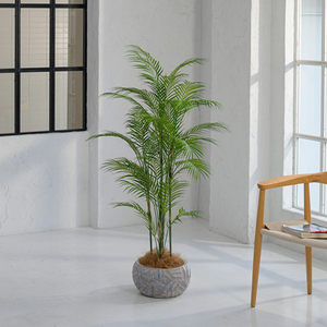 Venta al por mayor Oficina realista decoración de la pared al aire libre jardín artificial mini planta para oficina vegetación - Product Image 5