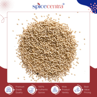 Moutarde séchée crue biologique de haute qualité, marque Spicecentra, logo et taille personnalisables disponibles, durée de conservation de 12 mois, prix bas sur le marché