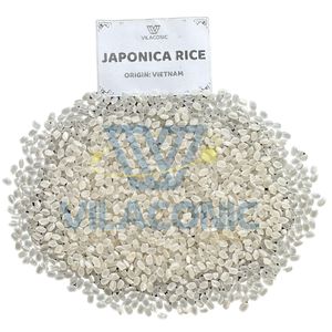 Viet Nam Fresh Organic 4-6mm Hard Texture White Japonica Long <b>Grain</b> Rice 2026 Crop Vilaconic Brand 5% Broken - Product Image 5